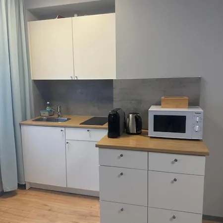 宾馆 Studio-apartment Am Hauptbahnhof N6 *