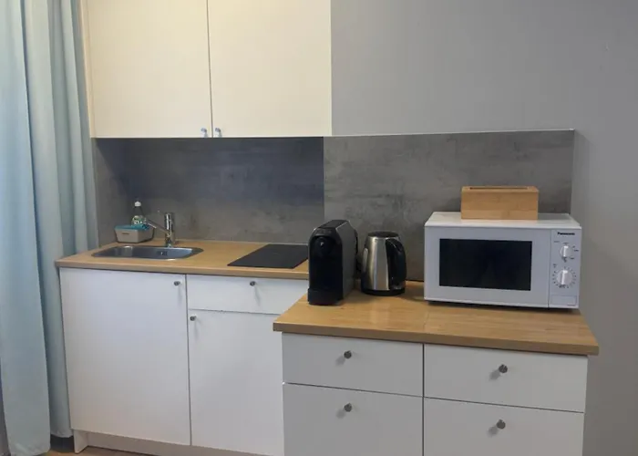 Мини-отель Studio-apartment Am Hauptbahnhof N6 *